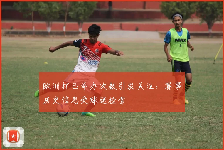欧洲杯已举办次数引发关注，赛事历史信息受球迷检索