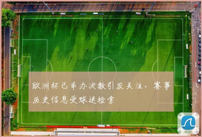欧洲杯已举办次数引发关注，赛事历史信息受球迷检索