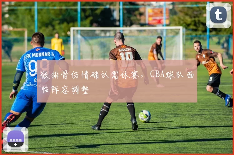 张排骨伤情确认需休赛，CBA球队面临阵容调整