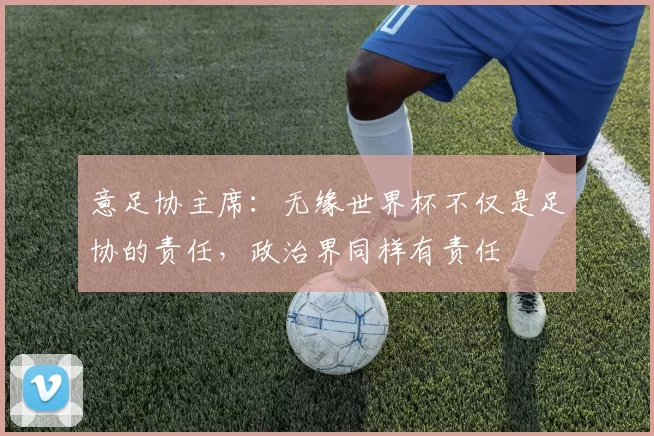 意足协主席：无缘世界杯不仅是足协的责任，政治界同样有责任