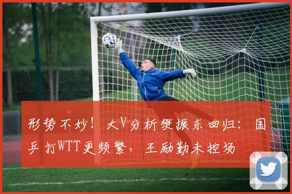 形势不妙！大V分析樊振东回归：国乒打WTT更频繁，王励勤未控场